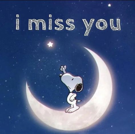 Snoopy Family, Snoopy Museum, I Miss My Sister, Snoopy Drawing, Charlie Brown Quotes, Missing You Quotes For Him, In Loving Memory Quotes, Christian Cartoons, Vera Bradley Patterns