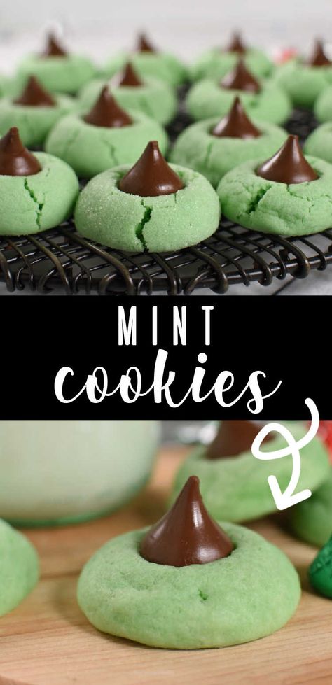 Mint Hershey Kiss Cookies, Mint Truffle Kiss Cookies, Mint Blossom Cookies, Hershey Kiss Desserts, Chocolate Mint Christmas Cookies, Christmas Mint Cookies, Gingerbread Kiss Cookies, Cookies With Hershey Kiss On Top, Hershey Kiss Recipes