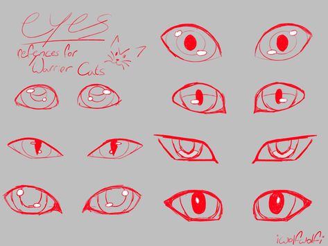 Cat Eyes Reference Drawing, How To Draw Warrior Cat Eyes, Animal Eye Reference, Warrior Cats Face Expressions, Cat Eye Drawing Reference, Cat Face Proportions, How To Draw A Cat Eye, Warrior Cats Ref Sheet, Warrior Cat Eyes