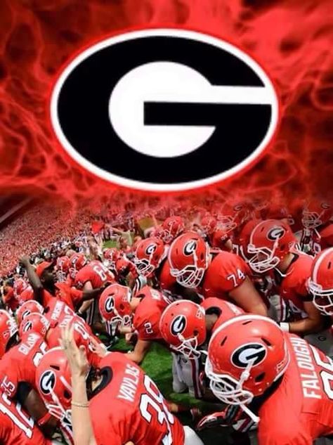 Georgia Wallpaper, Georgia Bulldog Mascot, Dawgs Football, Georgia Tech Football, Bulldog Wallpaper, Georgia Bulldawgs, Kirby Smart, Uga Football, Sports Vinyl