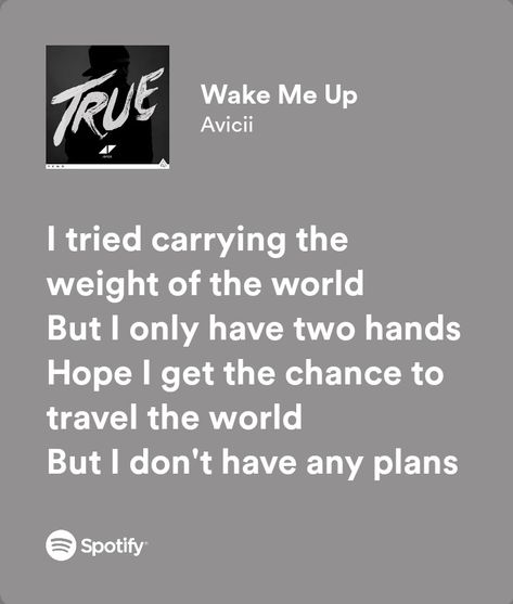 Wake Me Up Avicii, Avicii Lyrics, Avicii Wake Me Up, Summer Plan, Inspirational Lyrics, Meaningful Lyrics, Spotify Lyrics, Up Quotes, Summer Plans