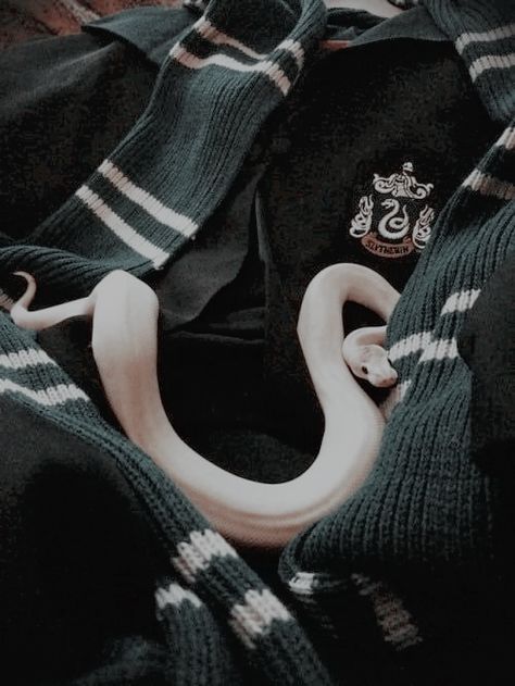 Slytherin Aesthetic Snake, Hp Slytherin Aesthetic, Rich Slytherin Aesthetic, Slytherin Book Aesthetic, Slytherin Pfp Aesthetic, Slytherin Aesthetic Clothes, Slithering Aesthetic, Hogwarts Slytherin Aesthetic, Slytherin Pfp