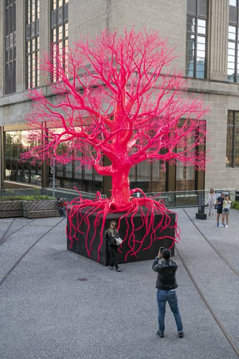 Tree Installation, Human Tree, Acer Rubrum, Terrarium Gifts, Red Sculpture, Outdoor Artwork, Pink Tree, Tree Artwork, Pink Aura