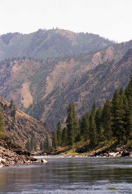 Salmon River, Idaho - The River of No Return River Of No Return, Private Idaho, Salmon River, Into The West, Twin Falls, Camping Experience, Road Trip Usa, Places Around The World, Vacation Destinations