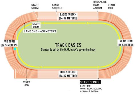 Each Track and Field Event Has Unique Characteristics, So Let's Brush Up on the Basics Kenenisa Bekele, Track Workout Training, Track And Field Events, Jackie Joyner Kersee, Olympic Track And Field, Hammer Throw, Athletics Track, Track Meet, Shot Put