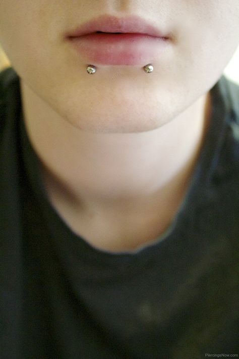 Snake Bites Piercing, Piercing Snake, Two Piercings, Spider Bite, Snake Bite Piercing, Spider Bite Piercing, Lip Piercing Jewelry, Double Ear Piercings, Double Cartilage Piercing