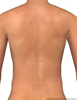 Human Back Reference, Back References Male, Back Reference, Men Back, Human Back, Body Template, Tattoo Templates, Figure Reference, Body Photography