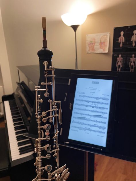 Aesthetic Musical Instruments, Classical Instruments Aesthetic, Oboe Aesthetic, Oboe Instrument, Viola Aesthetic Instrument, Musician Life, Pretty Instruments, Oboe Music, Pretty Viola Instrument