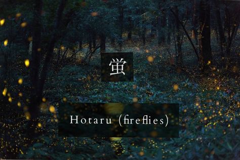 "Fireflies" in Japanese - hotaru - photography by Takehito Miyatake Hotarubi No Mori E Icon, Gin Anime Hotarubi No Mori E Wallpaper, Hotarubi No Mori E Aesthetic, Beautiful Japanese Words, Japanese Names And Meanings, Kon Bleach, Hotarubi No Mori E Video, Isak & Even, Materi Bahasa Jepang