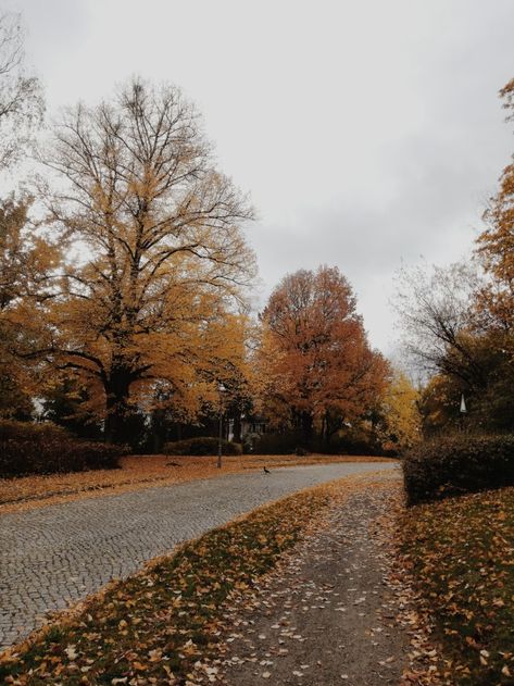 Fall Mood Board, Fall Inspo, Early Fall, Autumn Scenes, Fall Feels, Season Of The Witch, Best Seasons, We Fall In Love, Fall Pictures