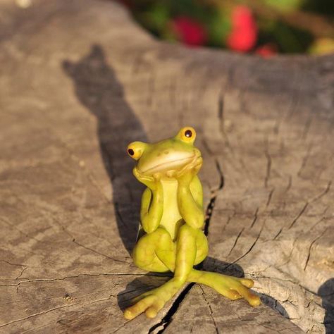 Deep In Thought, Frog Sitting, Smiling Face, The Frog, Fairy Garden, Tumblr