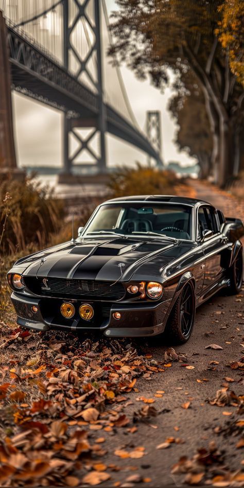 Mustang Gtr, Mustang Wallpaper, Cool Car Pictures, American Classic Cars, Ford Classic Cars, Mustang Cars, Super Car, Us Cars, Mustang Shelby