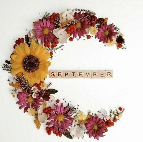 Flower Months, Month Themes, Hello September Images, September Images, Seasons Months, Hello September, Days And Months, September Birthday, Spring Wallpaper