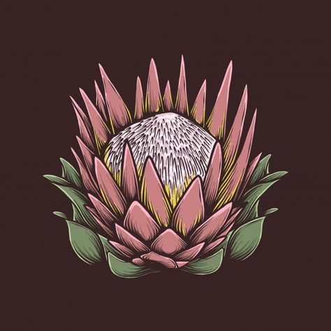 Hand drawing vintage protea flower vector illustration | Premium Vector Protea Flower Drawing, Protea Flower Tattoo, Protea Illustration, Protea Tattoo, Africa Tattoo, Embroidered Necklaces, Botanical Art Drawing, Flower Vector Illustration, Africa Tattoos