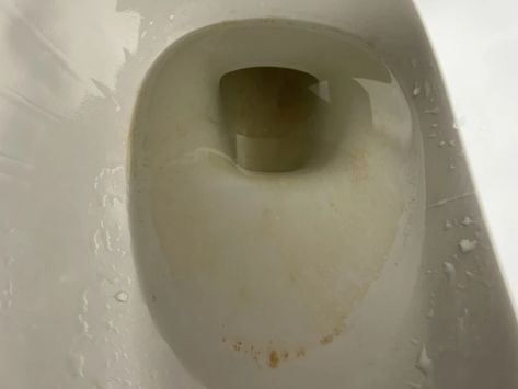 How to Clean Calcium Buildup in the Toilet Bowl - Men's Journal | Home Living Handbook Poop In Toilet, Bathroom Floor Plans, Men's Journal, Mens Journal, Tile Inspiration, Bathroom Spa, Do It Yourself Projects, Toilet Bowl, Bad News