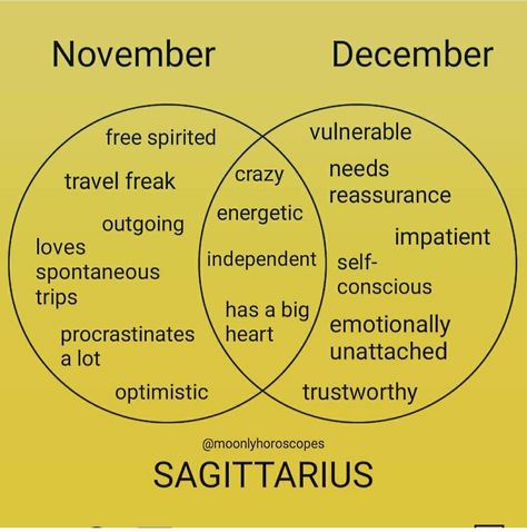 Its Sagittarius Season, November Vs December Sagittarius, Sagittarius And Capricorn Relationship, Zodiac Sagittarius Facts, Sagittarius Personality, Sagittarius Traits, Sagittarius Girl, Sagittarius Astrology, Horoscope Sagittarius