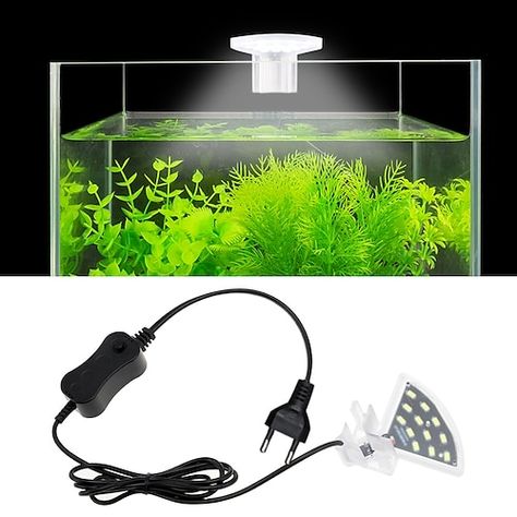 Crab Paludarium, Paludarium Ideas, Aquarium Lamp, Mini Aquarium, Aquarium Light, Fish Tank Lights, Led Aquarium Lighting, Led Aquarium, Grow Lights For Plants