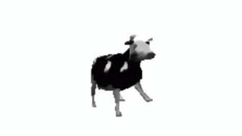 Polish Cow Dancing Cow GIF - PolishCow DancingCow TransparentCow - Discover & Share GIFs Polish Cow Wallpaper, Cow Stimboard, Gif Pfp For Discord Funny, Weird Banners Discord, Cow Dancing, Dancing Polish Cow, Goofy Discord Banner, Discord Header Gif, Pp Gif