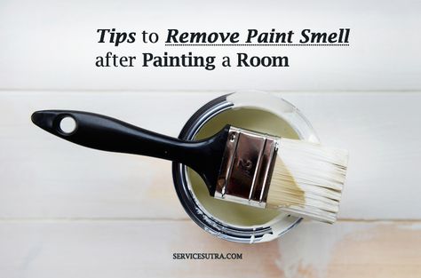 How To Get Rid Of Paint Smell In House, Wallcovering Ideas, How To Remove Paint, Homemade Toilet Cleaner, Paint Smell, Remove Paint, Clean Baking Pans, Hardwood Floor Cleaner, Cleaning Painted Walls