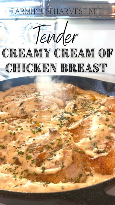 Boneless Chicken Breast Recipes Easy, Creamy Chicken Breast Recipes, Chicken Breast Pasta, Chicken Breast Dinner, Chicken Boneless Breast Recipes, Campbells Soup Recipes, Easy Chicken Breast, Chicken Breast Recipe, Chicken Breast Recipes Easy