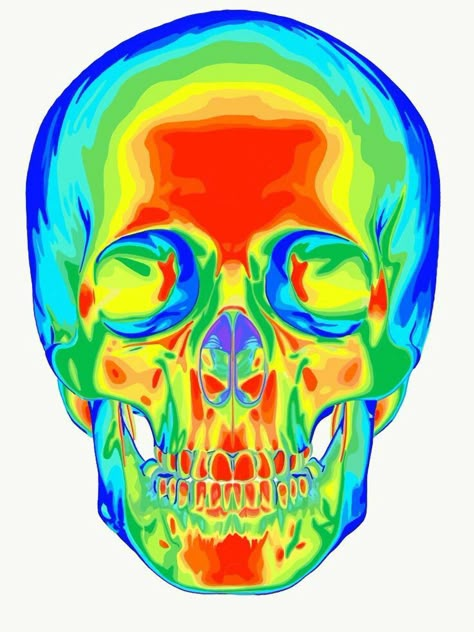 Thermal Art, Thermal Image, Gcse Art Sketchbook, Human Skull, Trippy Art, Art Collage Wall, A Skull, Art Portfolio, Skull Art