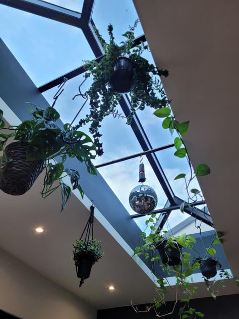 Look at what one of our customers has done with their lantern! Utilising the light the lantern brings in, by hanging plants underneath🪴☀️  #lanternroof #rooflights #plants #hangingplantsindoor #skylight #skylightdesigns #homerenovation Roof Lantern Pendant Lighting, Skylight Hanging Plants, A Frame Skylights, Skylight Plant Ideas, Skylight Plants, Lantern Skylight, Skylight Ideas, Lantern Roof, Close Kitchen