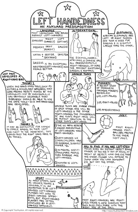 This is a pin from The Rudiments of Wisdom Encyclopedia by Tim Hunkin. It discusses some unique facts about handedness that were not found on other pins. It is a reputable source INFORMATION Left Handed Quotes, Left Handed Humor, Left Handed Problems, Left Handed Facts, Left Handed Crochet, Left Handed People, Life Map, Gods Word, Teenager Posts