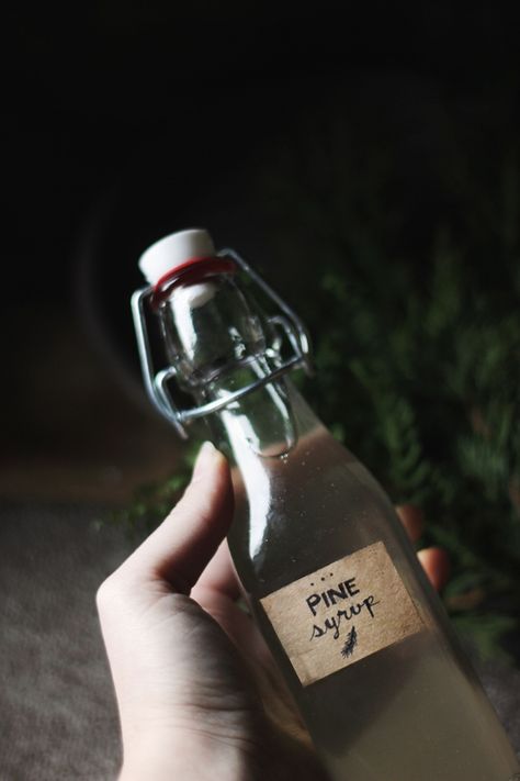 Pine Simple Syrup - The Merrythought Pine Syrup, Simple Syrups, Syrup Recipes, Creative Diy Projects, Natural Branches, Syrup Recipe, Food Crafts, Sweet Sweet, Simple Syrup