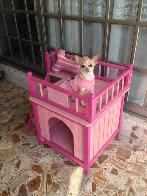 Barbie Dog, Dog Spaces, Pallet Patio Furniture, Dog Tree, Toy Poodle Puppies, Chicken For Dogs, Dog Cage, Pampered Pooch, Dog Bed Furniture