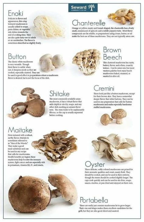 Cooked Mushrooms, Different Types Of Mushrooms, Types Of Mushrooms, Mushroom Varieties, Mushroom Benefits, Mushroom Dish, How To Cook Mushrooms, Edible Mushrooms, Food Info