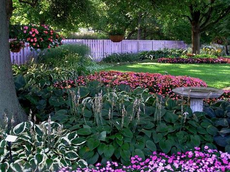 Find out all you need to know about underplanting from a garden expert. Garden Ideas Under Trees, Tree Mulch, Plants Under Trees, Landscaping Around Trees, Hgtv Garden, Woodland Plants, Backyard Canopy, Garden Canopy, Diy Canopy