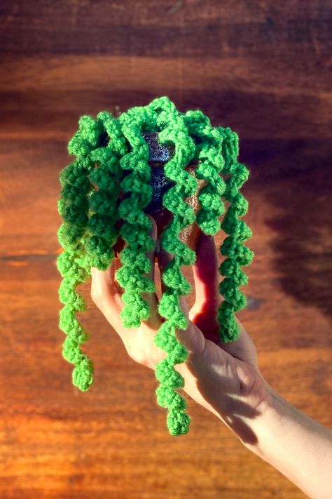 THNLife - Dangling Curly Plant Crochet Pattern by Anna Sands | Anna Sands Plant Crochet, Crochet Succulent, Crochet Plant Hanger, Crochet Garden, Gifts Crochet, Crochet Leaf Patterns, Crocheting Patterns, Crochet Flowers Free Pattern, Crochet Cactus