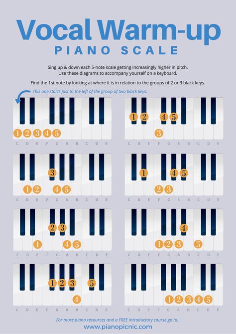 Warm-up your vocal cords at the piano with these easy exercises. Singing & playing helps to build your musical ear, learn more about strengthening your musical ear over at our FREE 5-day ear bootcamp! 5 Days To A Better Musical Ear! #pianopicnic #pianoplaying  #learnpiano #pianotips #pianoadvice #songsbyear #pianobyear #playbyear #pianotip Flute For Beginners, Vocal Lessons Singing, Vocal Exercises Singing Training, Vocal Training Singing Exercise, Vocal Warmups Singing Exercise, Vocal Warmups Singing, Singing Warm Ups, Vocal Warm Ups, Vocal Exercises Singing