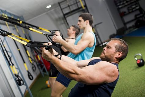 Can You Do Pullups on a TRX Trainer? | Livestrong.com Back Strengthening Exercises, Simple Workout, Personal Fitness Trainer, Trx Workouts, Training Routine, Workout Muscle, Training Workouts, Best Ab Workout, Muscles In Your Body