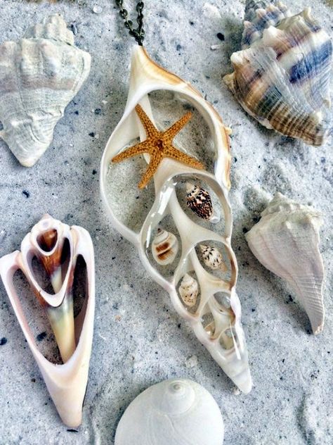 45 Inspirational Sea Shell Craft DIY Ideas Craft Diy Ideas, Seashell Projects, Shell Craft, Art Coquillage, Shells Diy, Seashell Ornaments, Shell Crafts Diy, Sea Crafts, Shell Ornaments