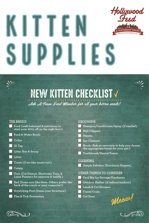 Kitten Organization Ideas, Things You Need For A Kitten, Bringing A Kitten Home, Raising A Kitten Tips, Kitten Supplies List, How To Raise A Kitten, Bringing Home A New Kitten, Kitten Essentials List, First Cat Checklist