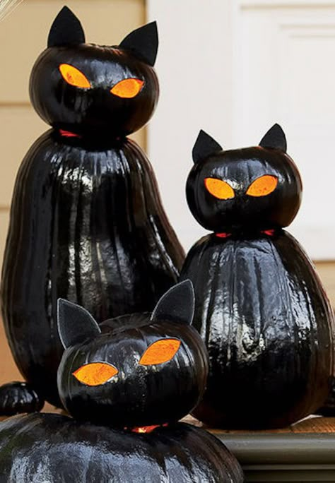 Pumpkin Cats Painted, Black Cat Pumpkin Decorating, Cat Pumpkins Ideas, Painted Pumpkins Black Cat, Halloween Decorations Black Cat, Black Pumpkins Ideas, Cat Pumpkins Carvings, Halloween Black Cat Craft, Black Cat Painted Pumpkin