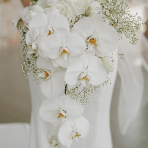 I’m SO here for all of the orchids I’d seen in bridal bouquets lately, but I did see @juliezeiger do it first hehe 😉 soooo in love! Florals by @maryvilleflowers 🤍 Bridal Bouquets, Spring Wedding, Bridal Bouquet, Bouquets, Orchids, Do It, In Love, Floral, On Instagram