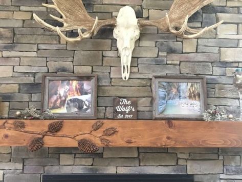 MSET5 Moose Mount, European Mount Ideas, Horn Designs, Air Bnb Design, Alaskan Moose, Trophy Wall, European Mount, Taxidermy Decor, Animal Taxidermy