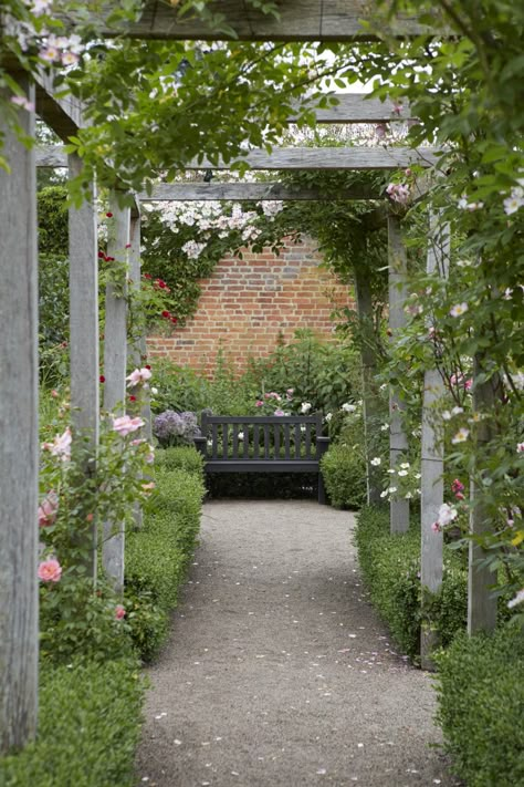 Pergola English Garden, Tropical English Garden, Contemporary Country Garden, Arbours Garden Pergolas, English Pergola, Pergola With Plants, Roses And Boxwood, Garden Arbours, Landscaping Succulents