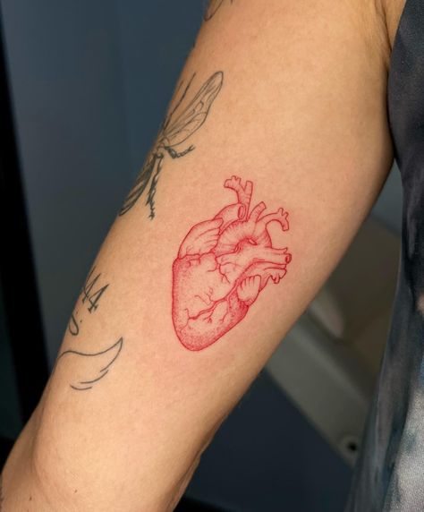 Heart Tattoo Red And Black, Anatomical Heart Tattoo Red Ink, Red Human Heart Tattoo, Red Heart Tattoo Designs, Heart Tattoo With Color, Red Anatomical Heart Tattoo, Atomically Heart Tattoo, Back Heart Tattoo, Red Tattoo Sleeve