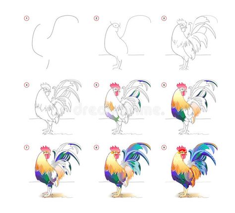 How to learn to draw sketch of cute rooster. Creation step by step watercolor painting. Educational page for artists. Textbook for. Developing artistic skills royalty free illustration How To Draw Rooster, Drawing A Rooster, Watercolor Rooster Tutorial, How To Draw A Rooster Step By Step, How To Paint A Rooster Step By Step, Watercolor Chicken Tutorial, How To Draw Chickens Step By Step, How To Paint A Rooster, Watercolor Rooster Paintings