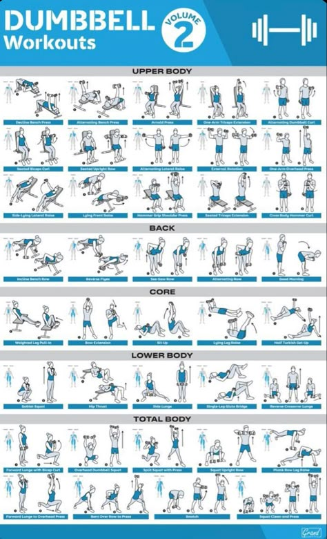 Hand Weights For Beginners, Suspension Workout, Exercise List, Fitness Posters, Dumbbell Exercises, Printable Workout, Full Body Cardio, Bench Workout, Medicine Ball Workout