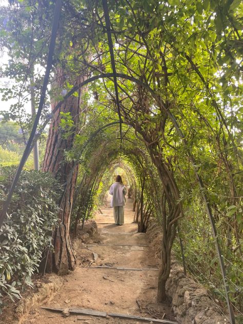 green trees summer walk archway garden spring Lorax Aesthetic, Archway Garden, Tree Archway, Tree Lined Path, Wooded Wedding, Floral Archway, Merchandising Ideas, Garden Arches, Garden Spring