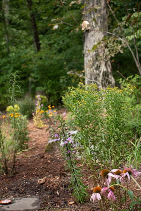 The Start of Our Native Pollinator Garden — root & dwell Native Pollinator Garden, Summer Reading Challenge, Bee Hotel, Hummingbird Garden, Year One, Garden Backyard, Pollinator Garden, Local Library, Water Sources