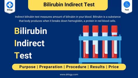 Indirect Bilirubin Test For Bilirubin Levels in Blood: Drlogy Test Price, Result & Normal Range Bilirubin Levels, Student Guide, Medical Tests, Red Blood Cells, Blood Test, Medical Students, Medical Conditions, Health Issues, Assessment