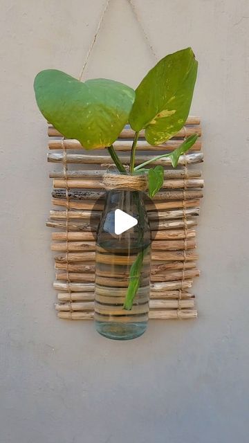 Bloomy on Instagram: "I turned an old glass bottle into a hanging planter using jute rope and dried branches 🌿✨️
Then, I hung the planter on the wall, filled the bottle with water, and added a money plant.Don't forget to change the water regularly to keep your plant healthy 💚

Hope you like this video ❤️ 
Let me know if you have any questions 😊 
.
.
.

#diy #upcycled #hangingplanter #bottledecor #reuse #plantdecor #homestylinginspo #wastetoart #creativeideas" Janmashtami Decoration, Old Glass Bottles, Glass Bottle Diy, Money Plant, Garden Crafts Diy, Upcycle Decor, Plant Decor Indoor, Glass Bottle Crafts, House Plants Decor