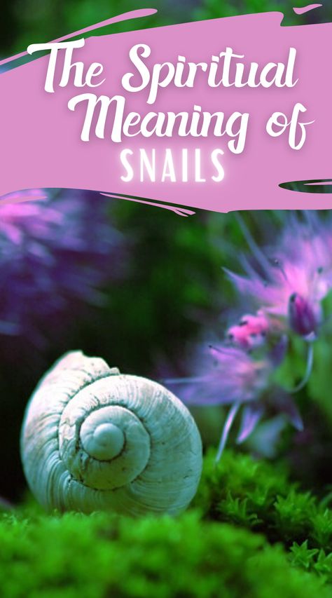 Snail Tattoo Meaning, Snail Quote Inspirational, Snail Spiritual Meaning, Snail Symbolism, Snail Meaning, Insect Symbolism, Meditation Signs, Snail Aesthetic, Roman Snail