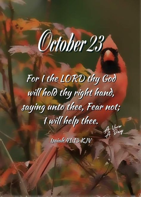 October 23 Blessings, October Scripture, Hello October Images, October Blessings, Scripture Board, October Images, Have A Blessed Day Inspiration, Bible Inspirational Quotes, October Days