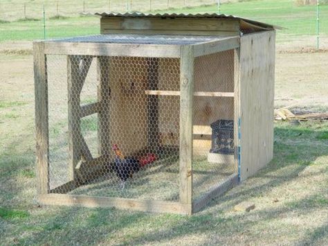 How To Build A  4 x 4 x 8 Brood Pen Reban Ayam, Decoration For House, Backyard Chicken Coop, Chicken Raising, Small Chicken Coops, Easy Chicken Coop, Chicken Barn, Portable Chicken Coop, Chicken Pen